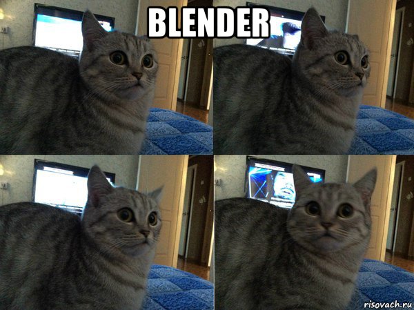blender 