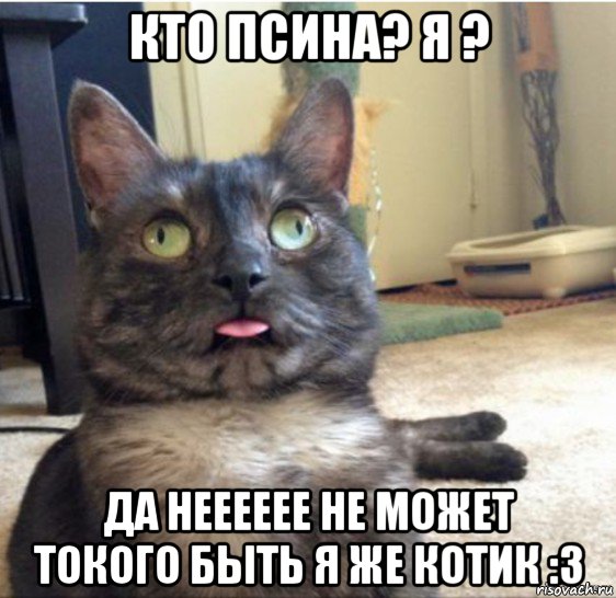 кто псина? я ? да нееееее не может токого быть я же котик :3