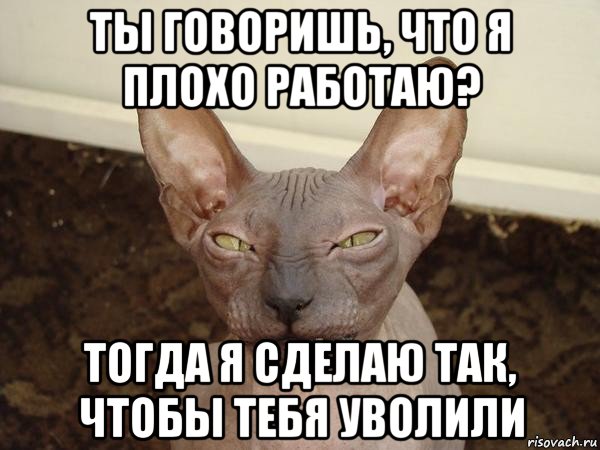 ты говоришь, что я плохо работаю? тогда я сделаю так, чтобы тебя уволили, Мем  Злой котик