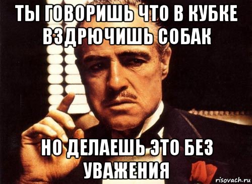 ты говоришь что в кубке вздрючишь собак но делаешь это без уважения, Мем крестный отец