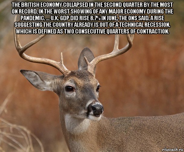 the british economy collapsed in the second quarter by the most on record, in the worst showing of any major economy during the pandemic. ... u.k. gdp did rise 8.7% in june, the ons said, a rise suggesting the country already is out of a technical recession, which is defined as two consecutive quarters of contraction. , Мем  Наивный Олень v2