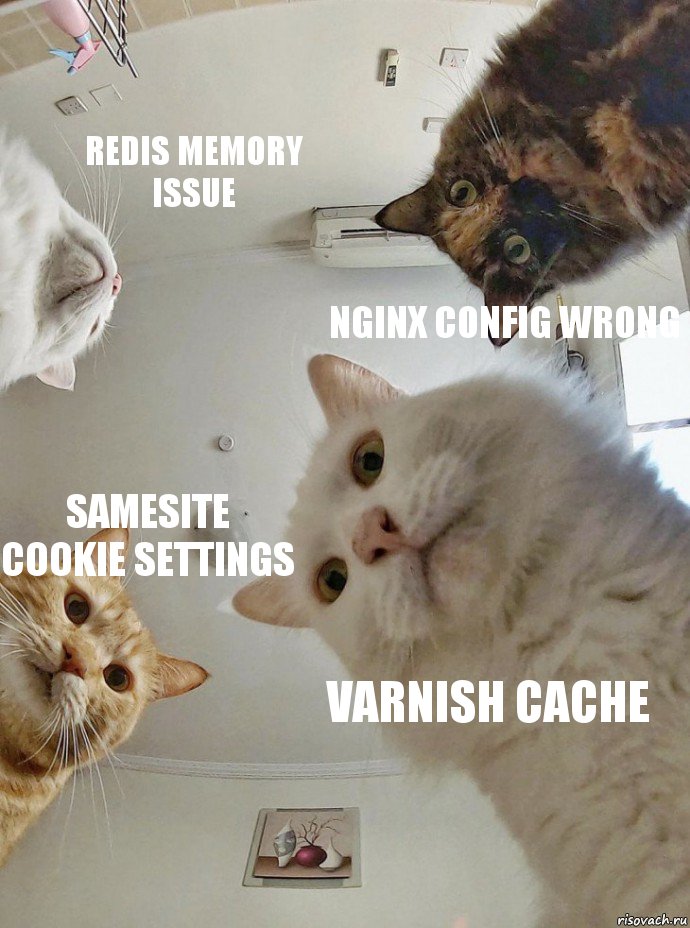 Redis Memory Issue NGINX Config Wrong SameSite Cookie Settings Varnish Cache, Комикс  Наташа мы все уронили