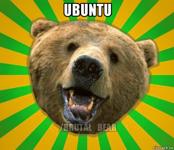 ubuntu 