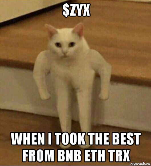 $zyx when i took the best from bnb eth trx, Мем  Полукот