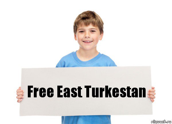 Free East Turkestan, Комикс  табличка