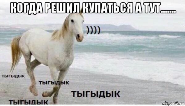 когда решил купаться а тут....... , Мем   Тыгыдык