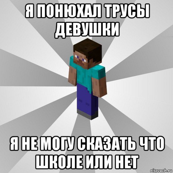 я понюхал трусы девушки я не могу сказать что школе или нет, Мем Типичный игрок Minecraft