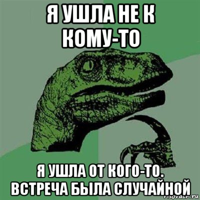 я ушла не к кому-то я ушла от кого-то. встреча была случайной, Мем Филосораптор