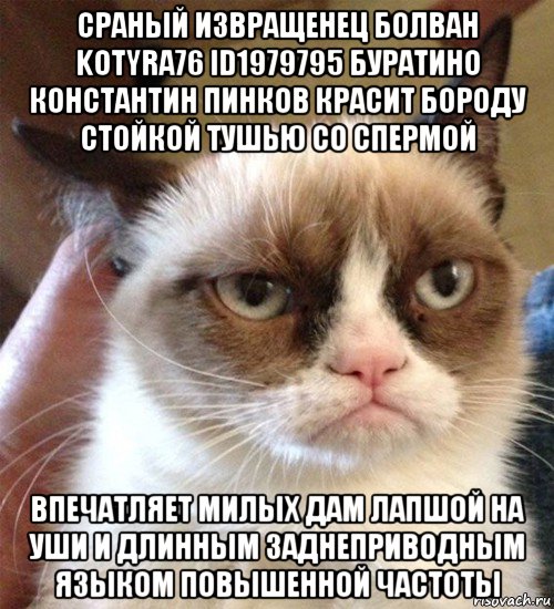 сраный извращенец болван kotyra76 id1979795 буратино константин пинков красит бороду стойкой тушью со спермой впечатляет милых дам лапшой на уши и длинным заднеприводным языком повышенной частоты, Мем Грустный (сварливый) кот