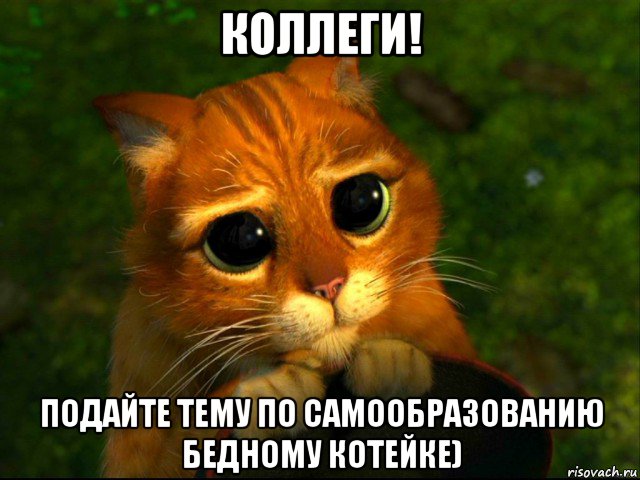 коллеги! подайте тему по самообразованию бедному котейке)