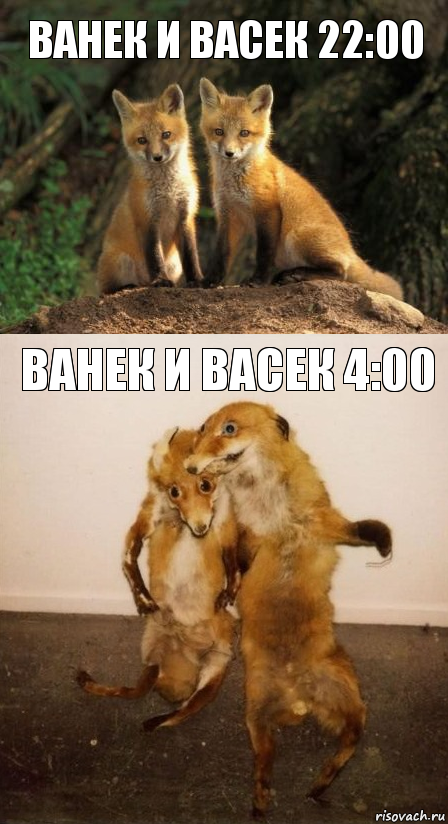 Ванек и Васек 22:00 Ванек и Васек 4:00