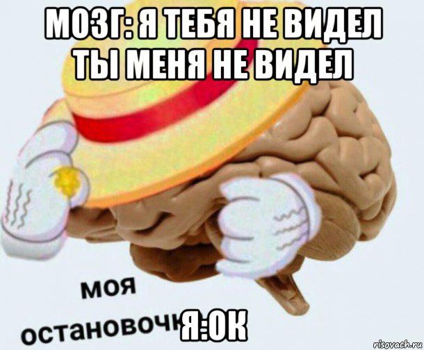 мозг: я тебя не видел ты меня не видел я:ок, Мем   Моя остановочка мозг