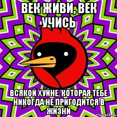 век живи, век учись всякой хуйне, которая тебе никогда не пригодится в жизни, Мем Омская птица