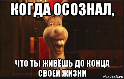 когда осознал, что ты живёшь до конца своей жизни, Мем Осел из Шрека