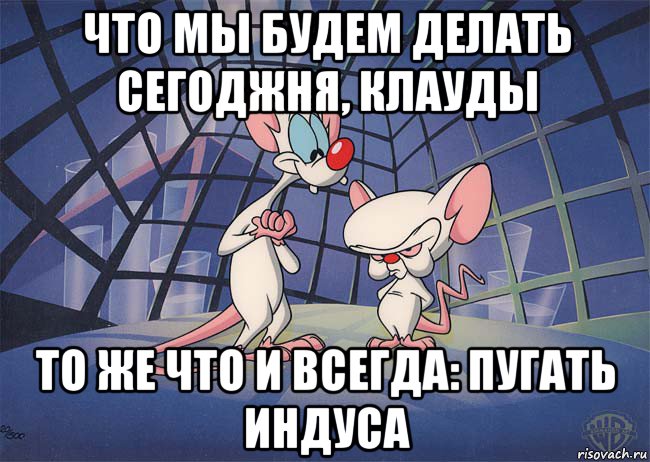 что мы будем делать сегоджня, клауды то же что и всегда: пугать индуса, Мем ПИНКИ И БРЕЙН