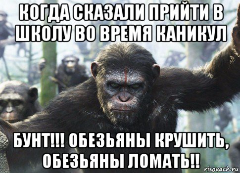 Сказали прийти. Планета обезьян Мем создать. Бунт обезьяна. Умный по горшкам дежурный Мем с обезьяной. Обезьяна бунтует смайлик.