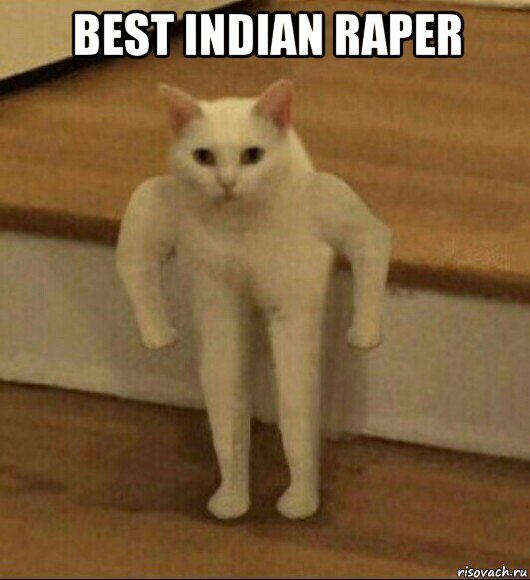 best indian raper , Мем  Полукот