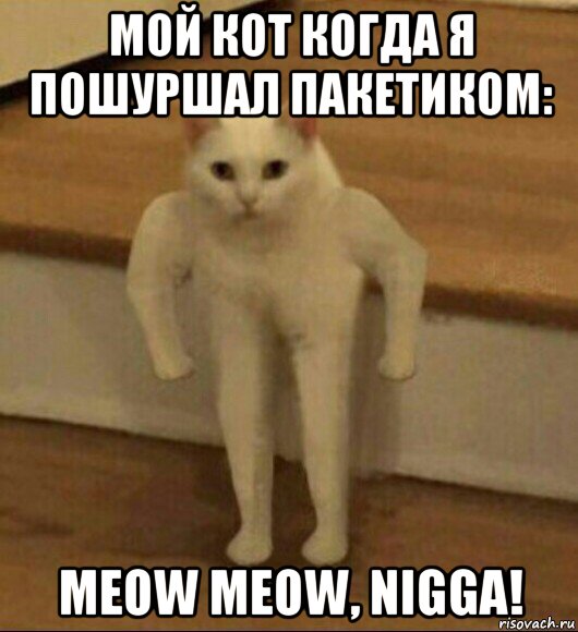 мой кот когда я пошуршал пакетиком: meow meow, nigga!, Мем  Полукот