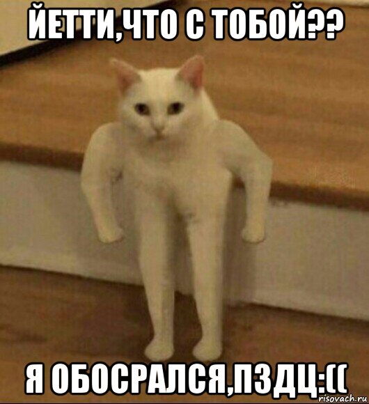 йетти,что с тобой?? я обосрался,пздц:((, Мем  Полукот