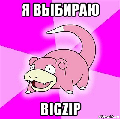 я выбираю bigzip, Мем слоупок