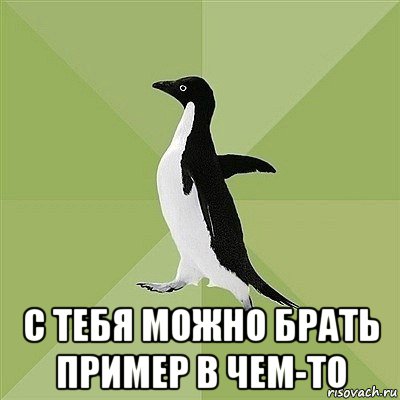  с тебя можно брать пример в чем-то, Мем  Среднестатистический пингвин