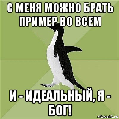 с меня можно брать пример во всем и - идеальный, я - бог!, Мем  Среднестатистический пингвин