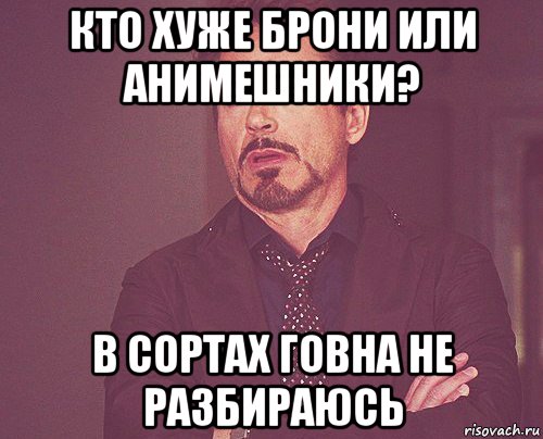 кто хуже брони или анимешники? в сортах говна не разбираюсь, Мем твое выражение лица