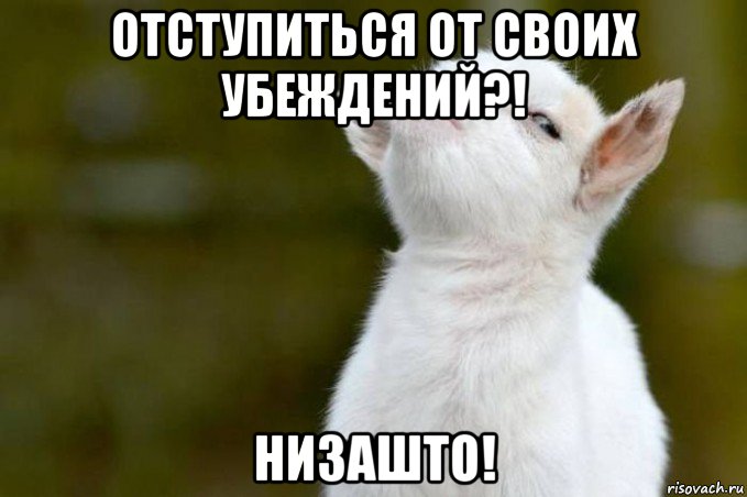 отступиться от своих убеждений?! низашто!