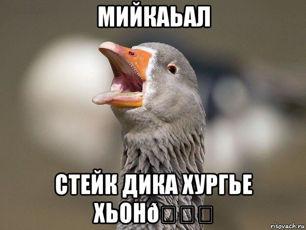 Мемы про гусей