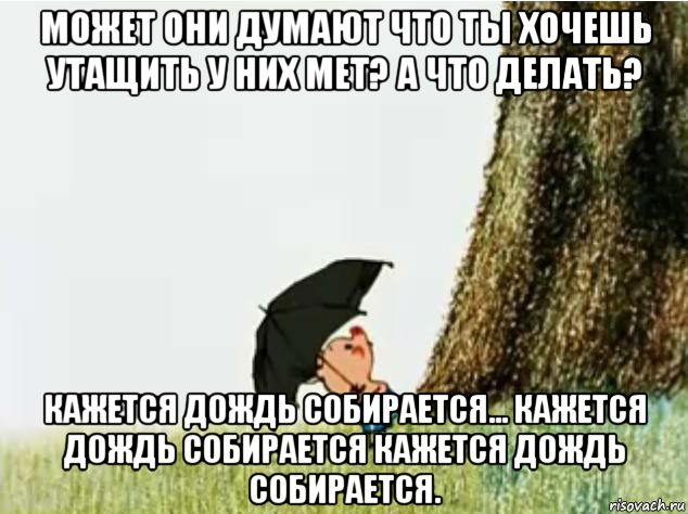 Кажется дождь собирается картинки прикольные с надписями