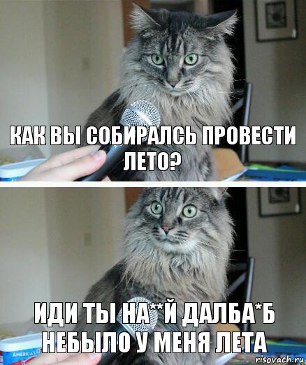 Как вы собиралсь провести лето? Иди ты на**й далба*б небыло у меня лета, Комикс  кот с микрофоном