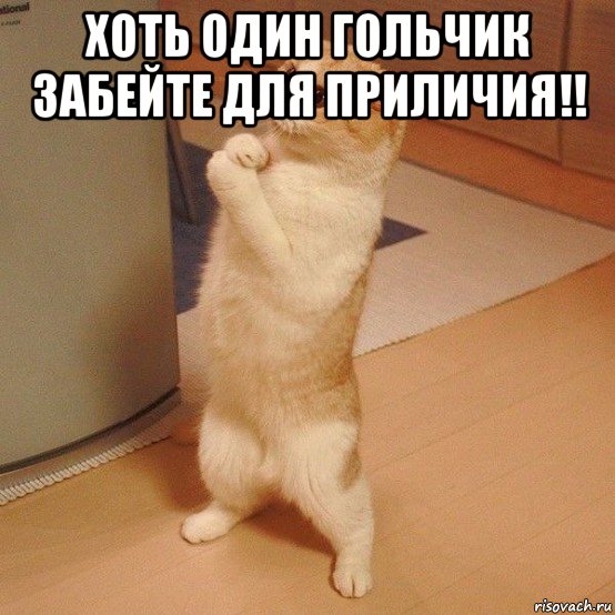 хоть один гольчик забейте для приличия!! , Мем  котэ молится