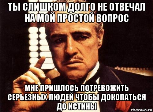 ты слишком долго не отвечал на мой простой вопрос мне пришлось потревожить серьезных людей чтобы докопаться до истины, Мем крестный отец