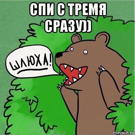 спи с тремя сразу)) , Мем Медведь в кустах