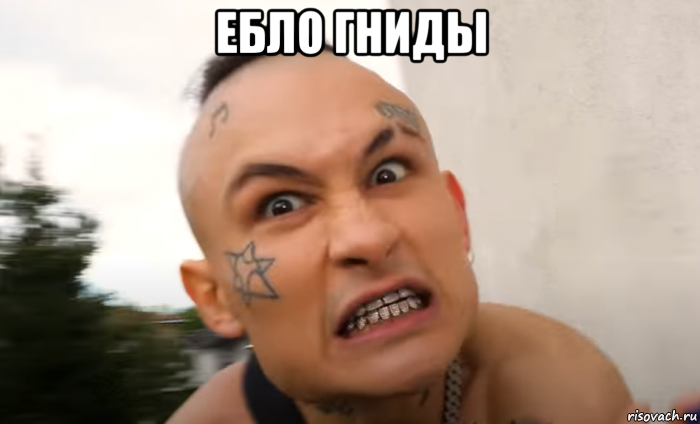 ебло гниды 