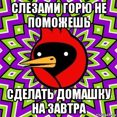 слезами горю не поможешь сделать домашку на завтра, Мем Омская птица