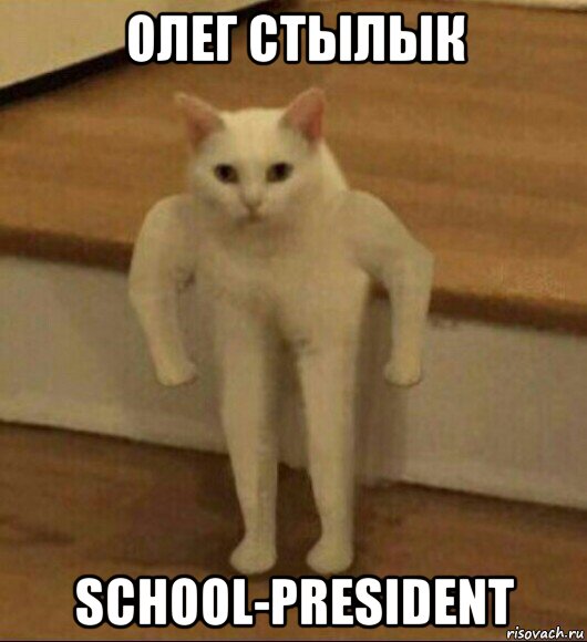 олег стылык school-president, Мем  Полукот