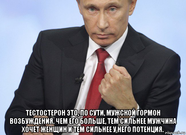  тестостерон это, по сути, мужской гормон возбуждения. чем его больше, тем сильнее мужчина хочет женщин и тем сильнее у него потенция., Мем Путин показывает кулак