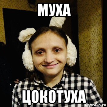 муха цокотуха