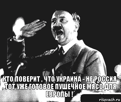 КТО ПОВЕРИТ , ЧТО УКРАИНА - НЕ РОССИЯ , ТОТ УЖЕ ГОТОВОЕ ПУШЕЧНОЕ МЯСО ДЛЯ ЕВРОПЫ !, Комикс Гитлер