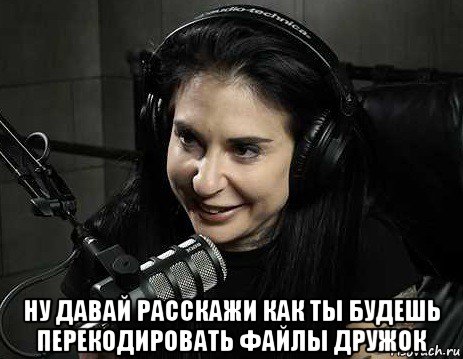  ну давай расскажи как ты будешь перекодировать файлы дружок