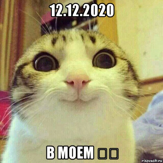 12.12.2020 в моем ❤️, Мем       Котяка-улыбака