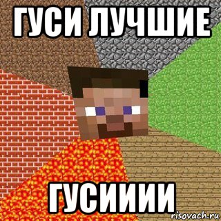 гуси лучшие гусииии, Мем Миникрафтер