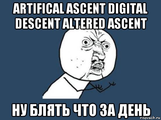 artifical ascent digital descent altered ascent ну блять что за день, Мем Ну почему