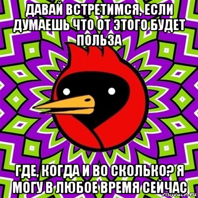 давай встретимся, если думаешь что от этого будет польза где, когда и во сколько? я могу в любое время сейчас, Мем Омская птица