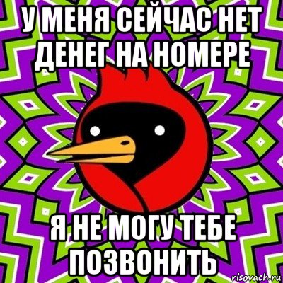 у меня сейчас нет денег на номере я не могу тебе позвонить, Мем Омская птица