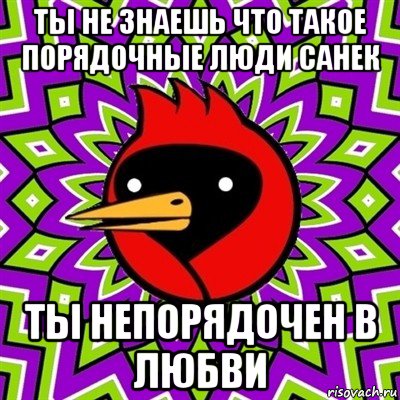 ты не знаешь что такое порядочные люди санек ты непорядочен в любви, Мем Омская птица