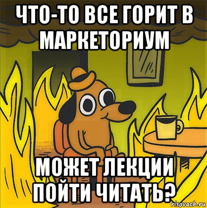 что-то все горит в маркеториум может лекции пойти читать?, Мем Собака в огне