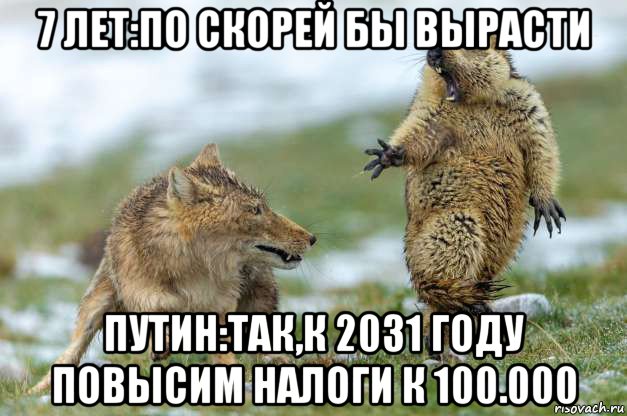 7 лет:по скорей бы вырасти путин:так,к 2031 году повысим налоги к 100.000, Мем Волк и суслик