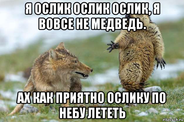 я ослик ослик ослик, я вовсе не медведь. ах как приятно ослику по небу лететь, Мем Волк и суслик